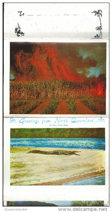 Greetings From Launch Valeta Mulgrave & Russell Rivers NQ Lettercard 16 Views Bolton Cairns Front & Back Shown - Far North Queensland