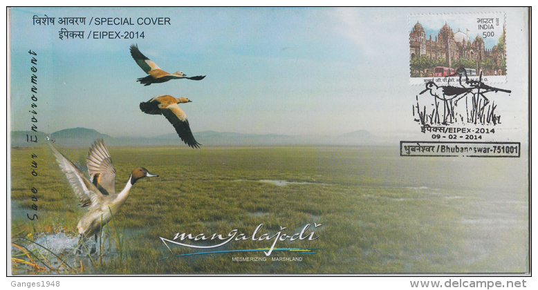 India  2014  Mangalajodi  Marshlands Cranes Birds  Cover  # 62921  Inde Indien - Cranes And Other Gruiformes