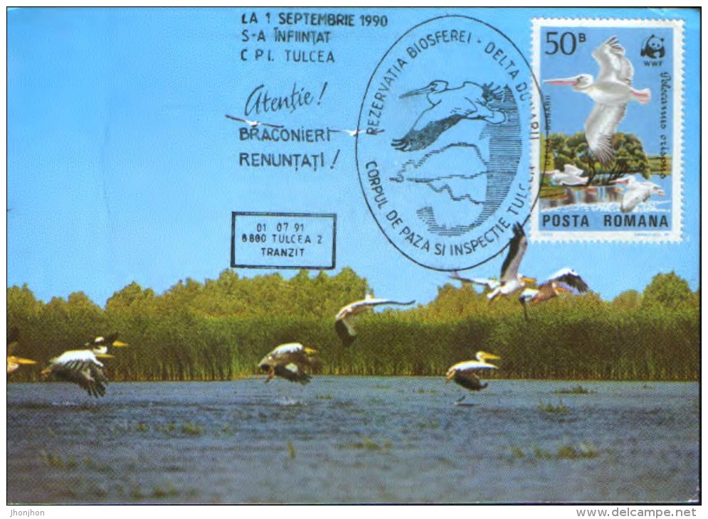 Romania-Maxicard - Birds-  Pelicans ; Pelikane - Pelikanen