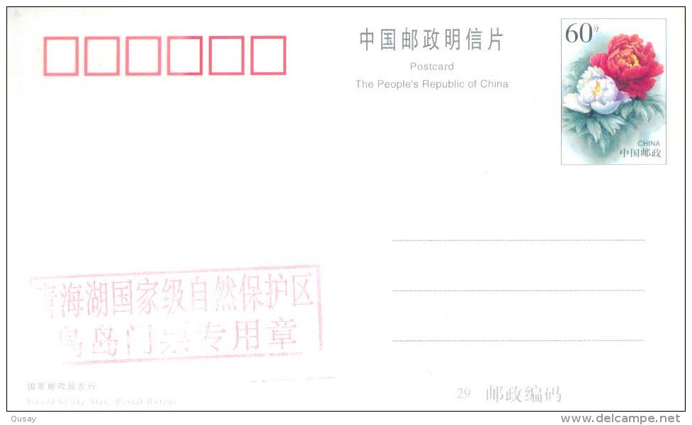 Bird Island Of Qinghai Lake, Swans    ,  Pre-stamped  Card, Postal Stationery - Cygnes