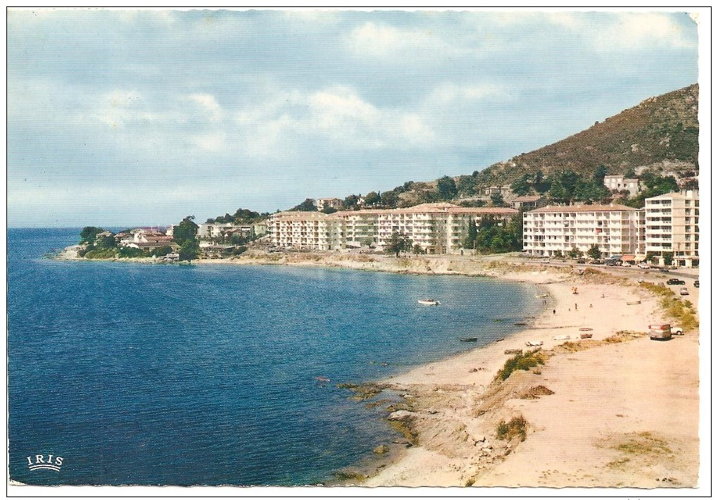 CPSM FRANCE 20 CORSE AJACCIO Vue Des Nouveaux Quartiers Au Parc Berthauld - 1964 - Ajaccio