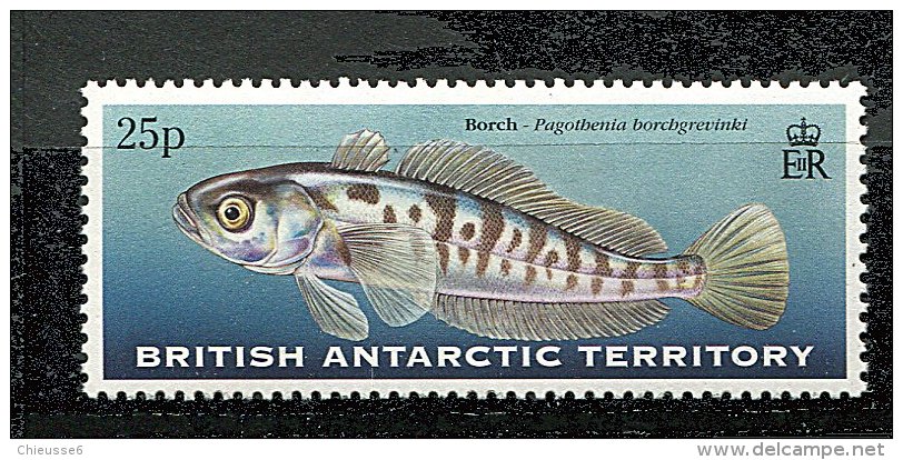 Antarctique Britann.** N° 304 - Poisson - Nuevos