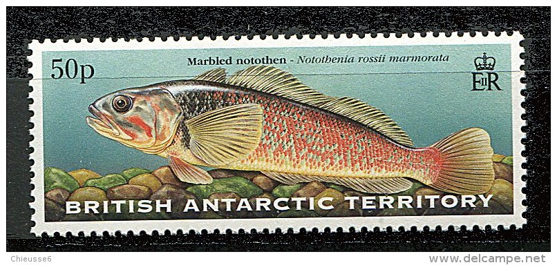 Antarctique Britann.** N° 305 - Poisson - Unused Stamps