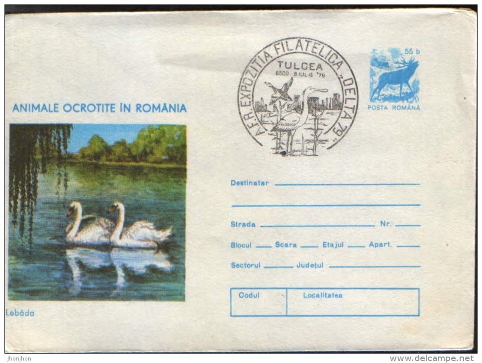 Romania-Stationery Cover 1977 -  Swans,protected Birds In Romania - Cisnes