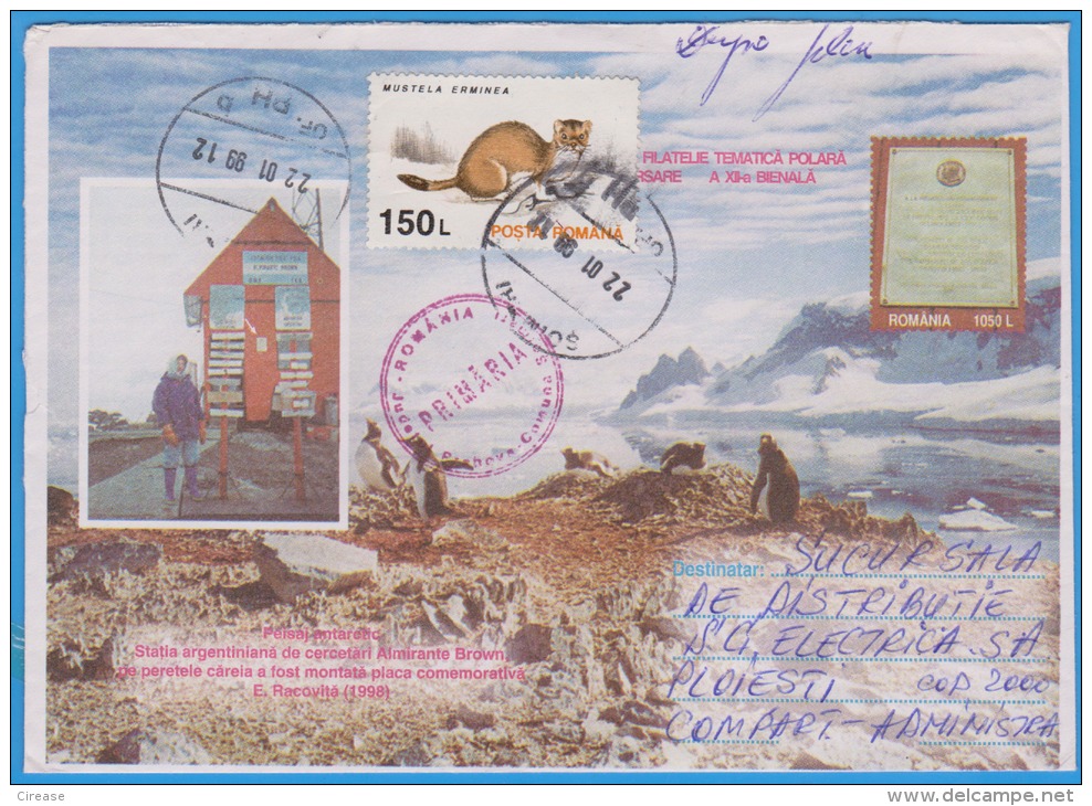 South Pole Argentine Research Station, Almirante Brown, Penguins Romania Postal Stationery 1998 - Onderzoeksstations