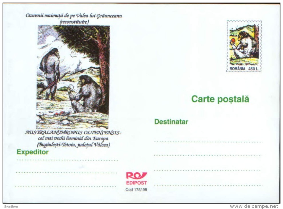 Romania- Stationery Postcard,1998 - Prehistory, Australanthropus Olteniensis,the Oldest Hominid In Europe,monkey People - Prehistory