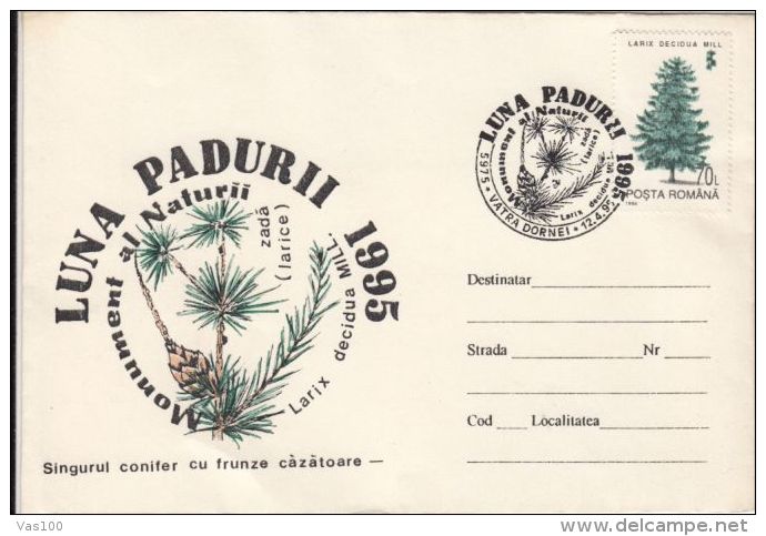 TREES, LARCH, SPECIAL COVER, 1995, ROMANIA - Bäume