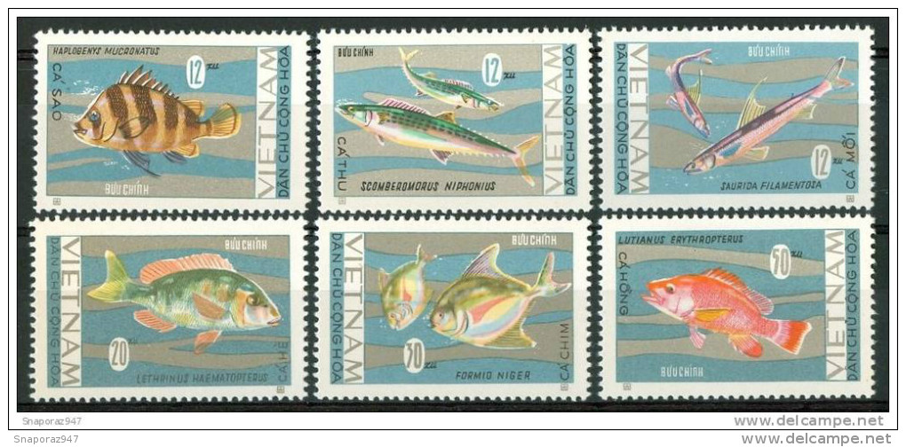 Vietnam Del Nord Vita Marina Marine Life Pasci Fishes Fische Poissons** Pa5 - Pesci