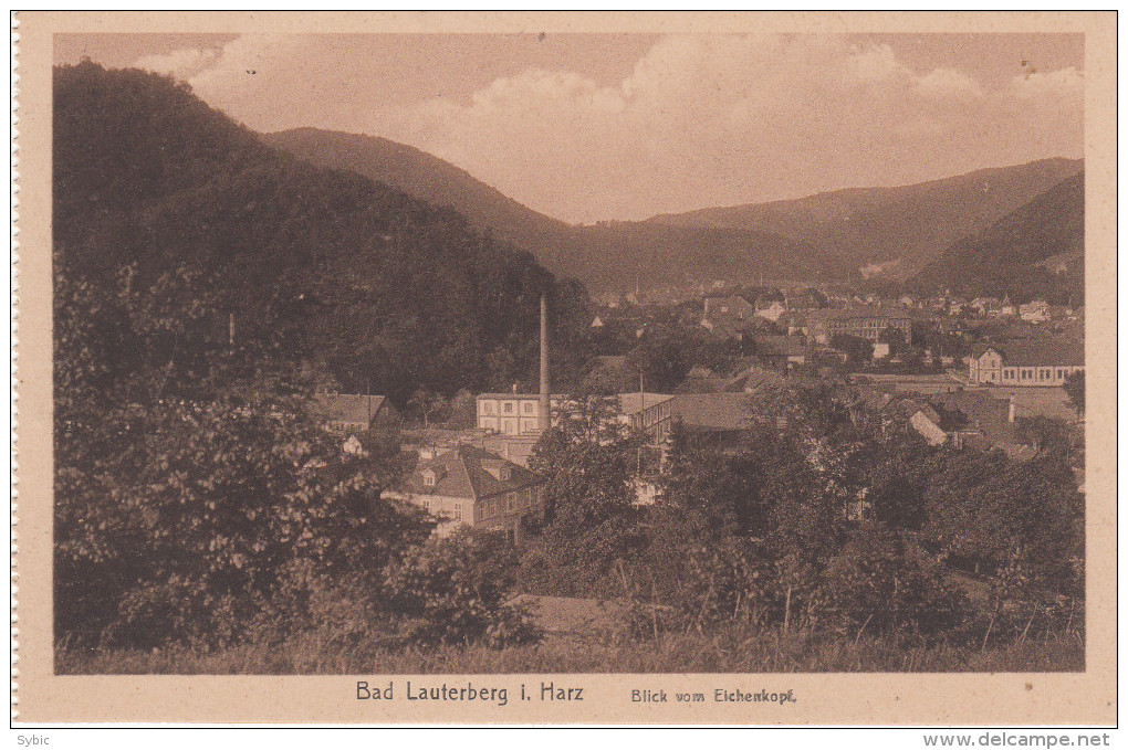 BAD LAUTERBERG - Blick Vom Eichenkopf - Bad Lauterberg