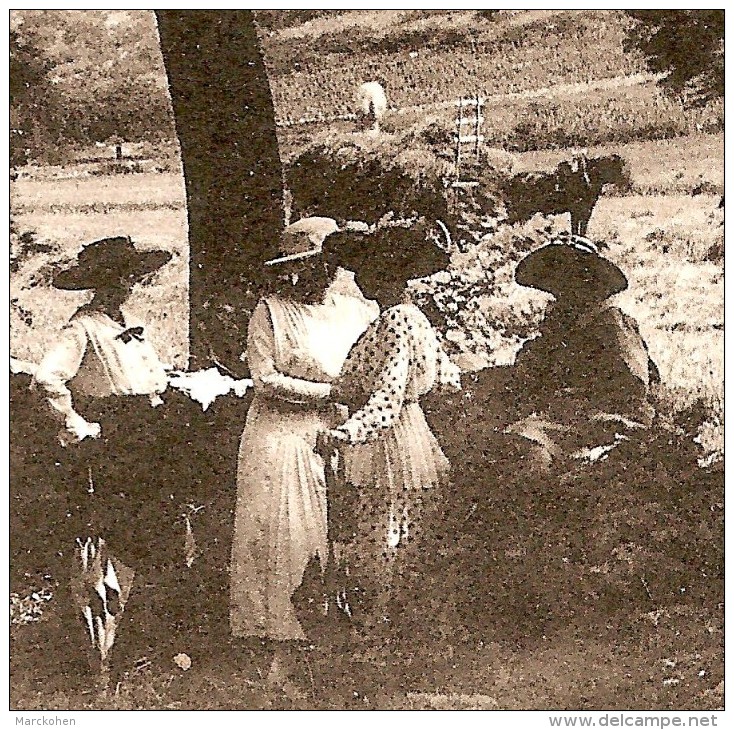 SAVIGNY-les-BEAUNE (21) :  Costumes - Chapeaux - Attelage : Chemin De Fontaine-Froide (carte Rare) - Beaune