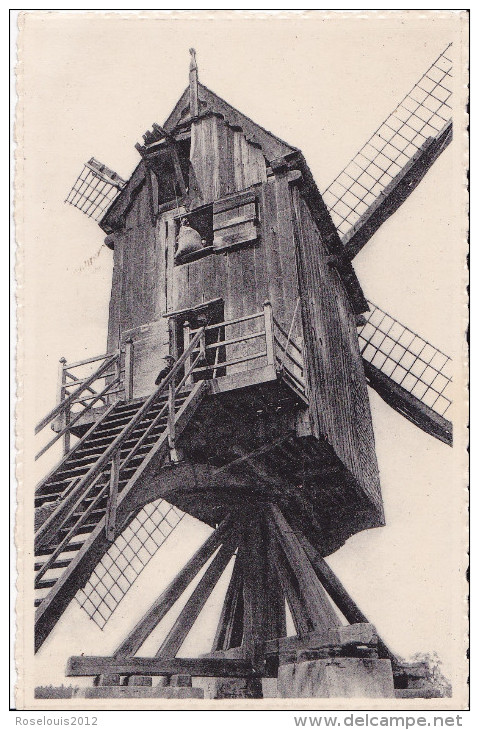 KEERBERGEN : Oude Molen - Keerbergen