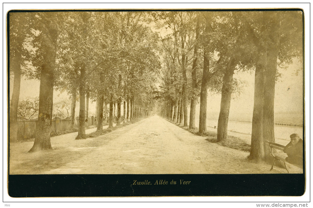 Zwolle. Veerallee (Allée Du Veer). Harde Foto, Formaat 19 X 12 Cm. Goud Op Snee. Ca.1890 - Zwolle