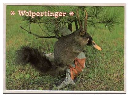 Wolpertinger , Vorsicht Können Bissig Sein - Fairy Tales, Popular Stories & Legends