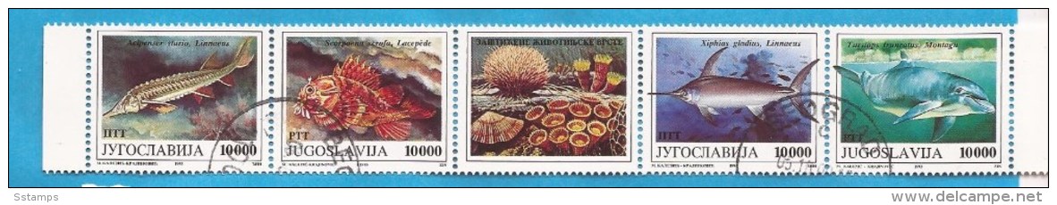 1993 X 2589-92   JUGOSLAVIJA FAUNA MEERESTIERE FISCHE   WWF   STRIP USED - Usati