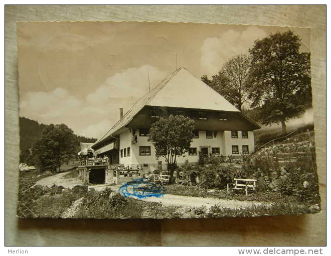 Deutschland - Hinterzarten - Gasthaus Hiezmannshof Schwarzwaldstüble   D114279 - Hinterzarten