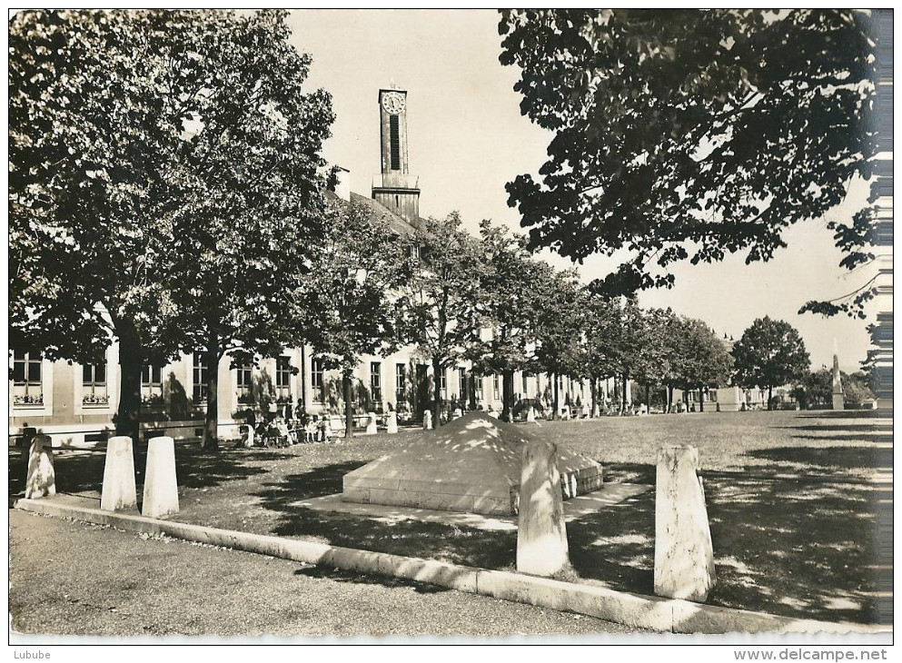 Muttenz - Freidorf, Spielplatz Mit Gedenkstein            1948 - Muttenz