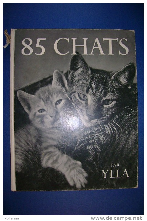 PFT/30 Ylla 85 CHATS Guilde Du Livre Lausanne Anni '50 /GATTI FOTOGRAFIE IN NERO - Pets