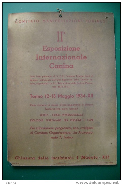 PFT/52 PUBBLICITA´- MANIFESTO II^ ESPOSIZIONE CANINA Anni '30/FASCIO LITTORIO/CANI - Targhe Di Cartone