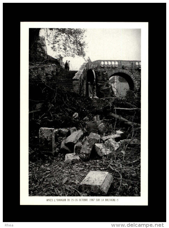 56 - LE FAOUËT - Chapelle Sainte-Barbe Après L'ouragan - Faouët