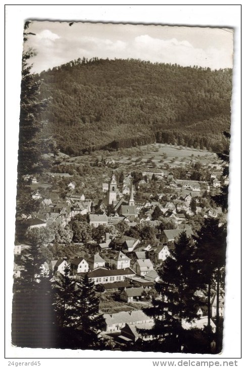 CPSM HASLACH IM KINZIGTAL (Allemagne-Bade Wurtemberg) - Vue Générale - Haslach