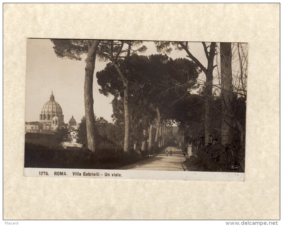 45987    Italia,    Roma,  Villa  Gabrielli,  Un Viale,  VG  1910 - Parcs & Jardins