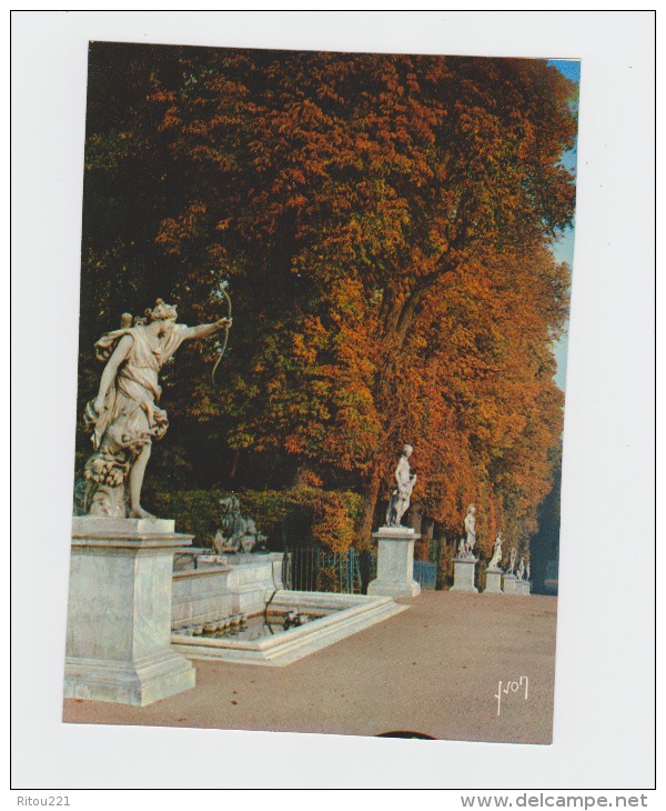 78 -  VERSAILLES - Château Allée Des Trois Fontaines - Fontaine De DIANE / Arc - Tir à L'arc - - Archery