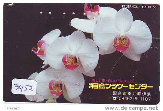 Télécarte Japon * FLEUR * ORCHID (3452)  Orchidée Orquídea Orquidée Orchid * Flower Phonecard JAPAN * - Fleurs