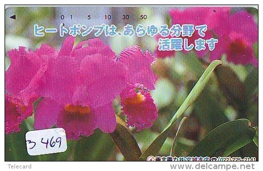 Télécarte Japon * FLEUR * ORCHID (3469)  Orchidée Orquídea Orquidée Orchid * Flower Phonecard JAPAN * - Bloemen