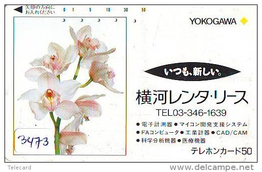 Télécarte Japon * FLEUR * ORCHID (3473)  Orchidée Orquídea Orquidée Orchid * Flower Phonecard JAPAN * - Blumen