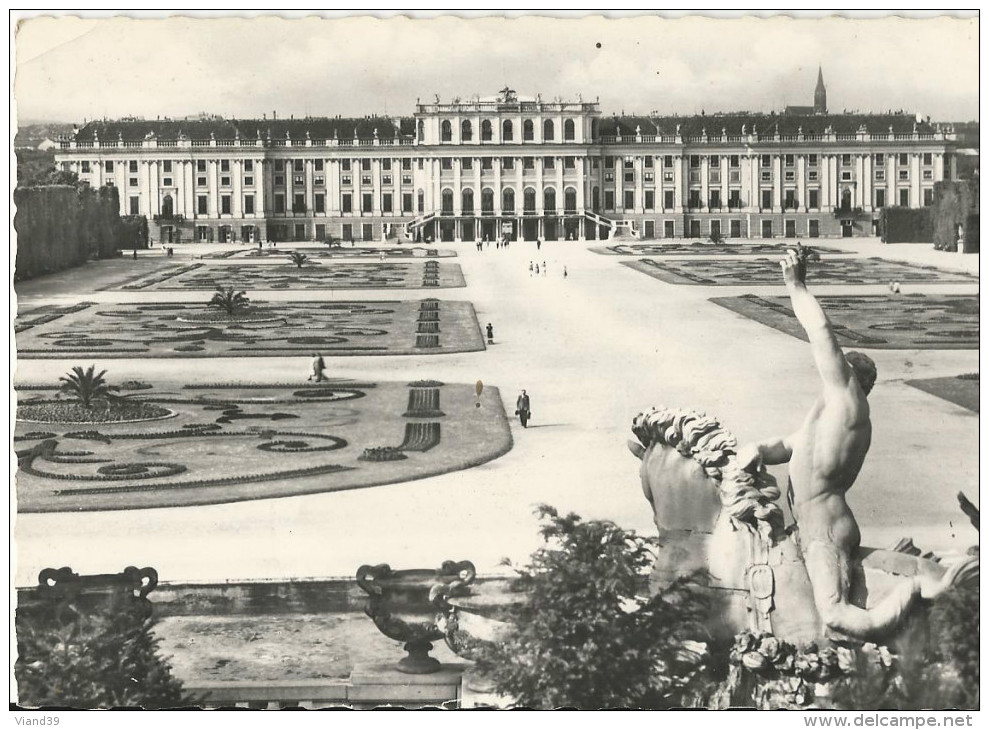 Vienne - Chateau De Schönbrunn Et Parterre De Fleurs - Non écrite - Château De Schönbrunn