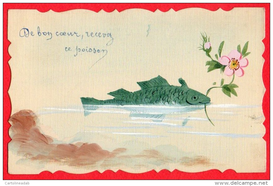 [DC6227] PESCE GALANTE - Old Postcard - Pesci E Crostacei