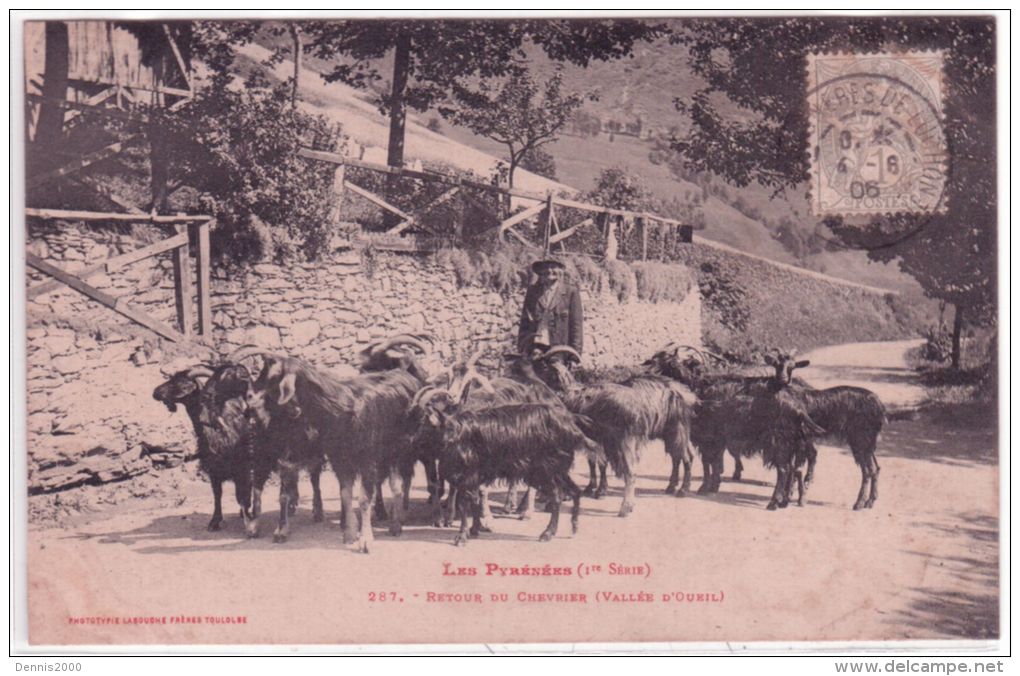 Les Pyrénées - ( 1ère Série) 287 - Retour Du Chevrier ( Vallée D'Oueil ) Ed. Labouche - Luchon