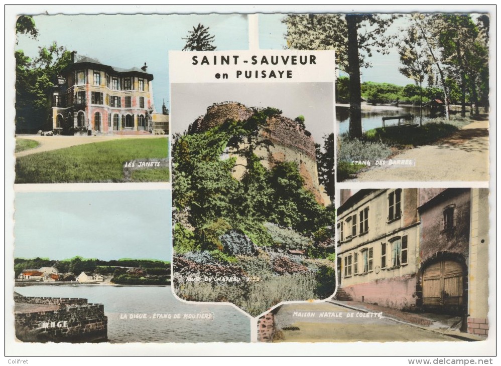 89 - St-Sauveur-en-Puisaye              Multivues - Saint Sauveur En Puisaye