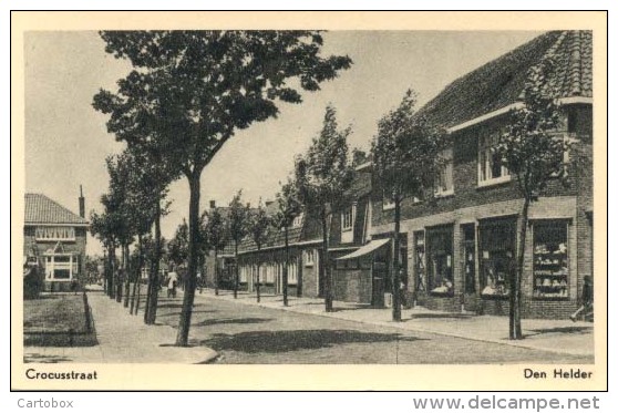 Den Helder, Crocusstraat - Den Helder