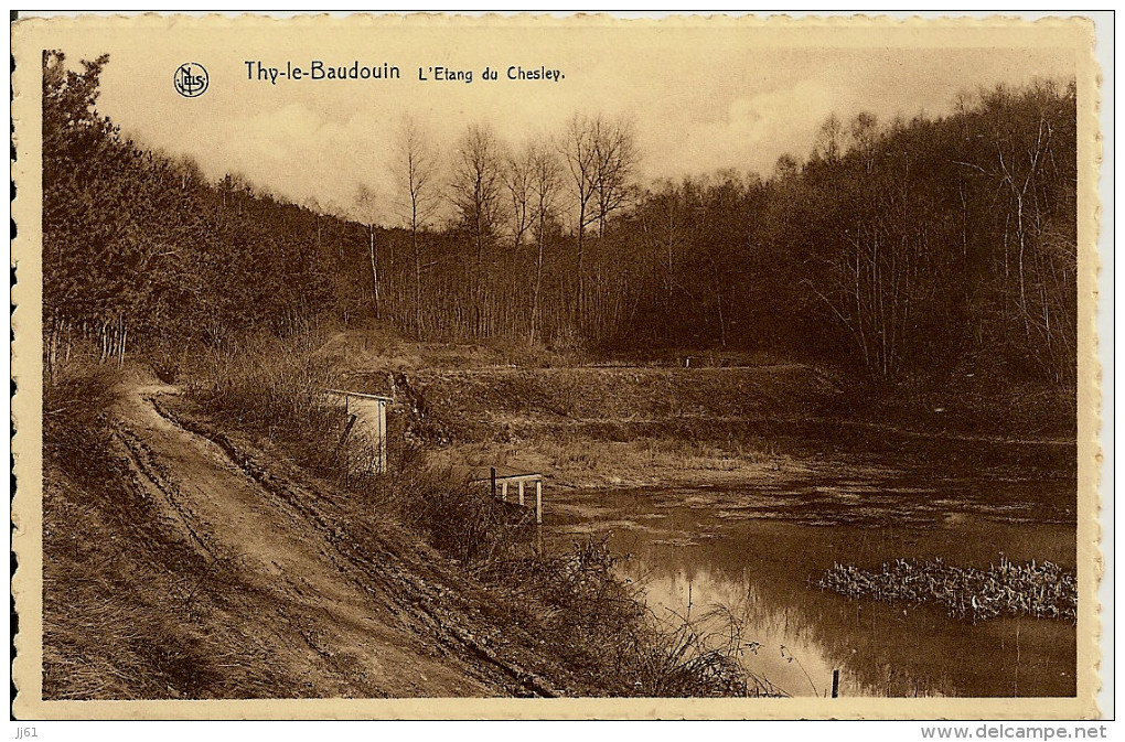 THY LE BAUDOUIN L ETANG DU CHESLEY  CARTE GLACEE MAT TRES BON ETAT - Florennes