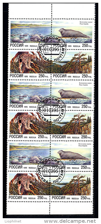 RUSSIE 1995, PROTECTION NATURE, PHOQUE, LYNX, 3 Blocs De 4, Oblitérés / Used. R1553 - Usados