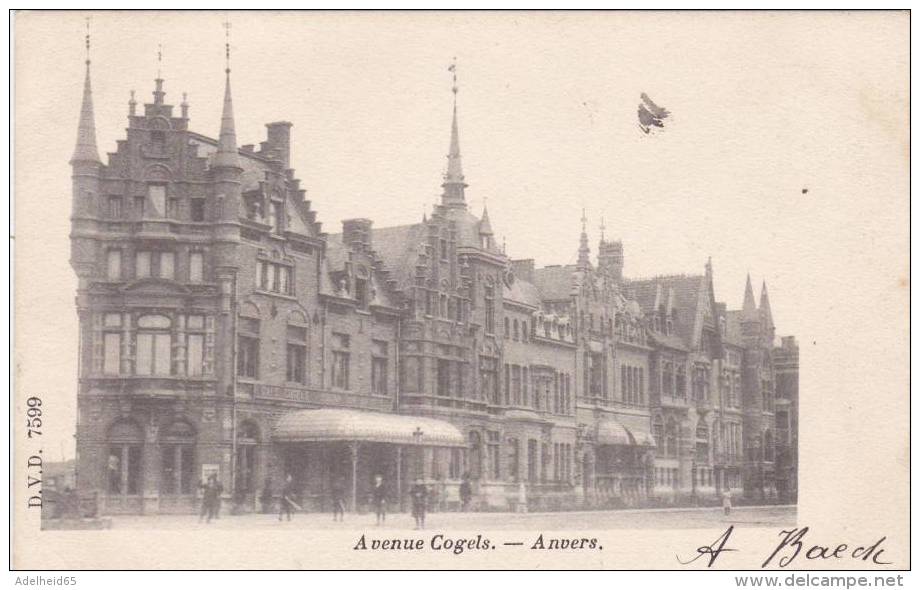 BEL31/ Ed DVD Antwerpen Anvers Avenue Cogels 1901 - Antwerpen