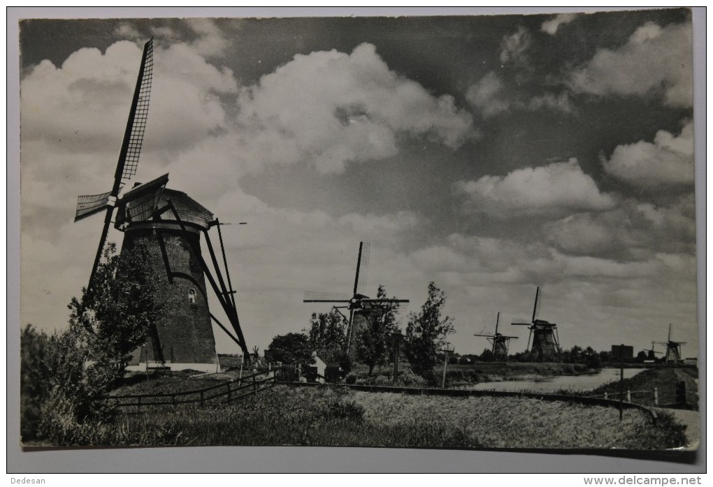 CPSM Petit Format Hollandse Molen Moulin à Vent Kinderdijk - DO07 - Kinderdijk