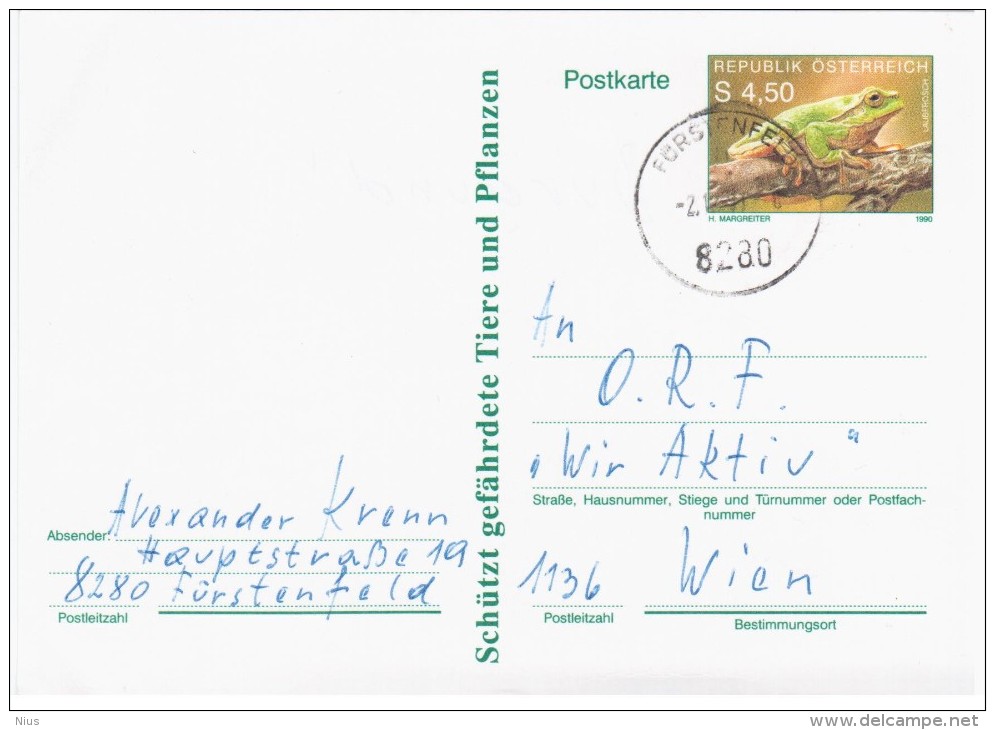 Austria Osterreich 1990 Frog Repriles Fauna, Furstenfeld - Cartoline