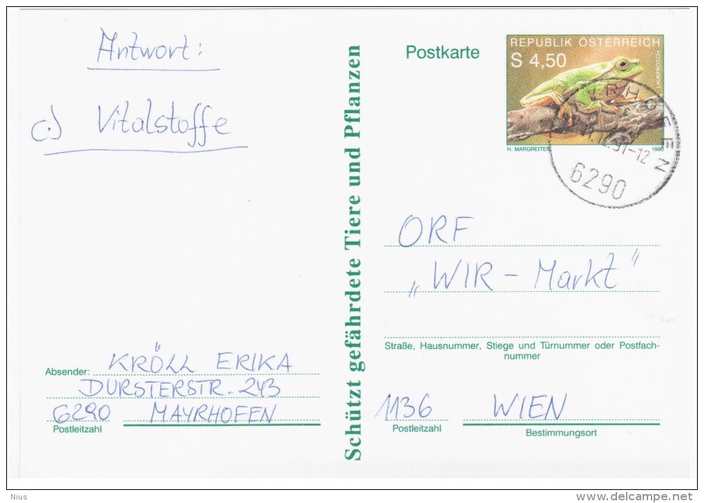 Austria Osterreich 1990 Frog Repriles Fauna, Mayrhofen - Cartes Postales