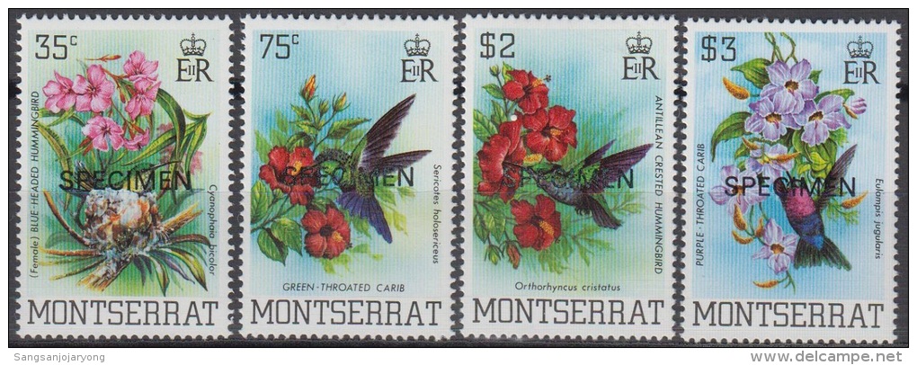 Specimen, Montserrat Sc497-500 Birds, Hummingbird - Hummingbirds