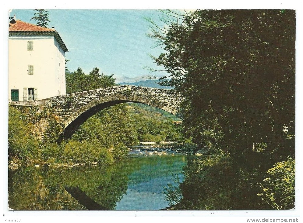 PONT DE RASTEL PRES DE CHAMBORIGAUD -VIEUX PONT SUR LE LUECH -Gard (30) -Circulé 1984 - Chamborigaud