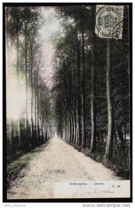 OVERIJSE - OVERYSSCHE - Drève - Couleur 1908  // - Overijse