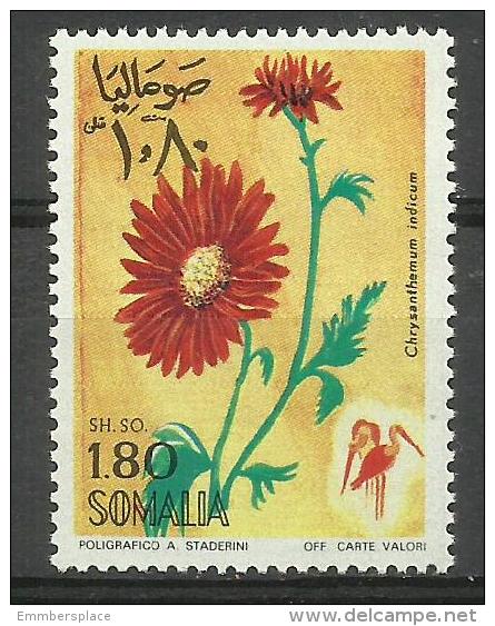 SOMALIA - 1969 Flowers (Chrsanthemum) 1s80 MNH **        SG 501  Sc 346 - Somalia (1960-...)