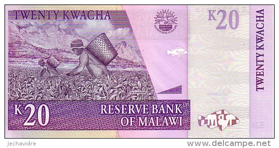 MALAWI  20  Kwacha  Daté Du 31 Octobre 2007   Pick 52 D     ***** BILLET  NEUF ***** - Malawi