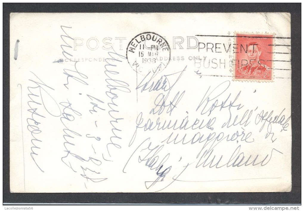 6396-PENGUINS RETURNING TO BURROWS-PAILLIE ISLAND-1938-FP - Other & Unclassified