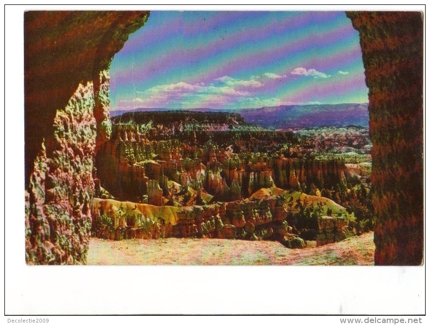 BT19423 Utah On Navajo Trail Bryce Canyon National P USA Scan Front/back Image - Bryce Canyon