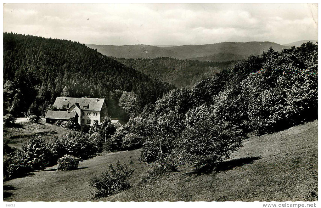 Allemagne - Germany - Basse Saxe - Hohegeiss ( Hochharz ) - Waldhotel " Dike Tannen " - Semi Moderne Petit Format - état - Autres & Non Classés