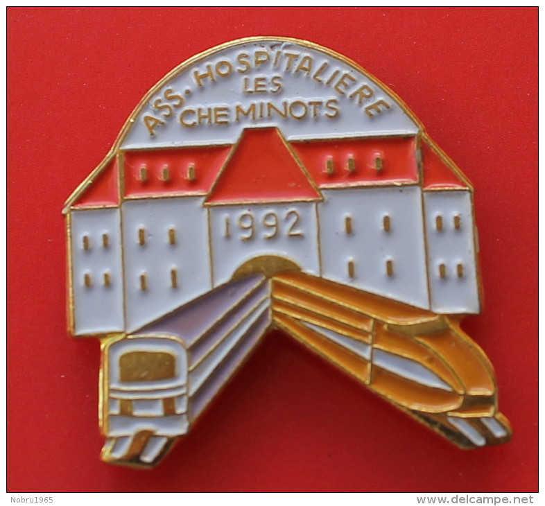 Pin´s Train TGV  Association Hospitalière Des Cheminots 1992 - TGV