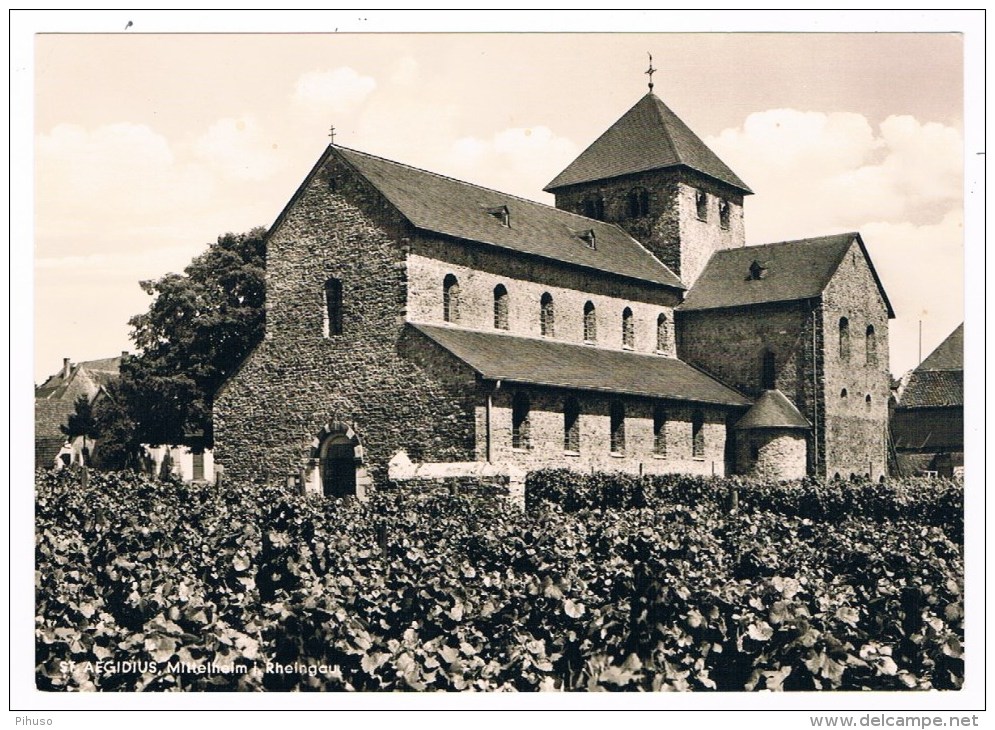 D4479   MITTELHEIM I. RHEINGAU : St. Aegidius - Rheingau